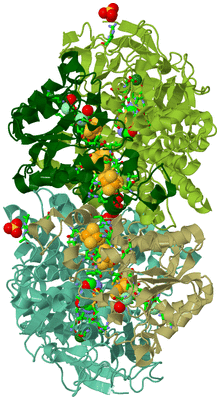 Image Asym./Biol. Unit - sites