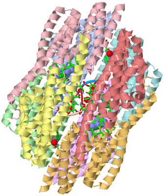 Image Asym./Biol. Unit - sites