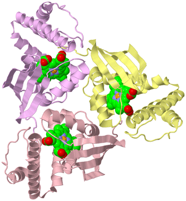 Image Biological Unit 2