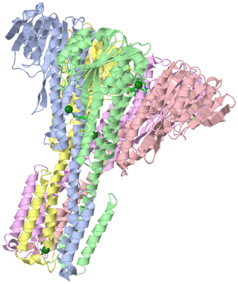 Image Asym./Biol. Unit - sites