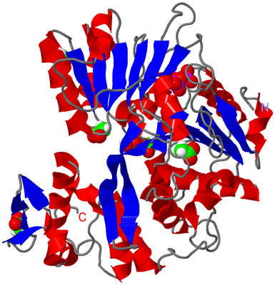 Image Asym./Biol. Unit