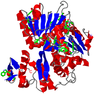 Image Asym./Biol. Unit - sites