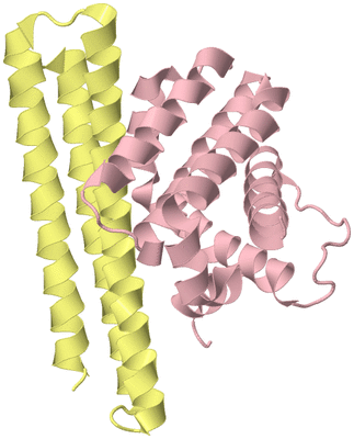 Image Biological Unit 2