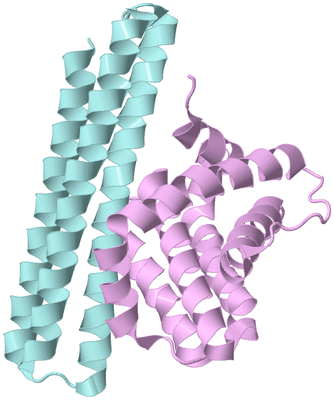 Image Biological Unit 3