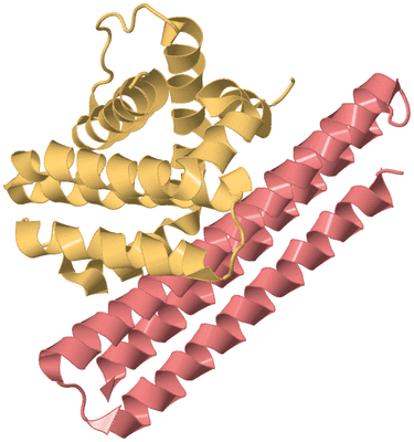 Image Biological Unit 4