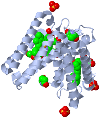 Image Biological Unit 1