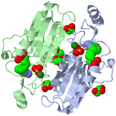 Image Asym./Biol. Unit