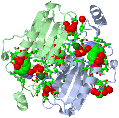 Image Asym./Biol. Unit - sites