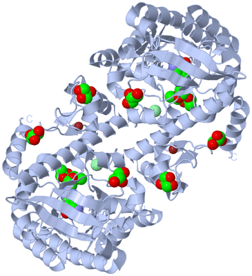 Image Biological Unit 1