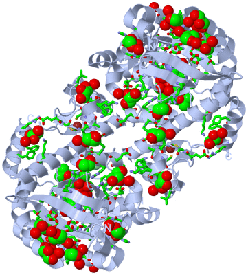 Image Biol. Unit 1 - sites