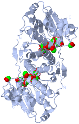 Image Biological Unit 1