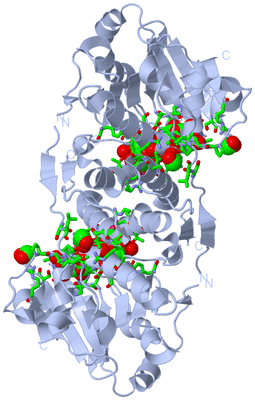 Image Biol. Unit 1 - sites