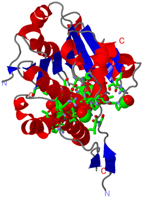 Image Asym. Unit - sites