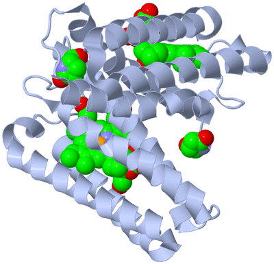 Image Biological Unit 1