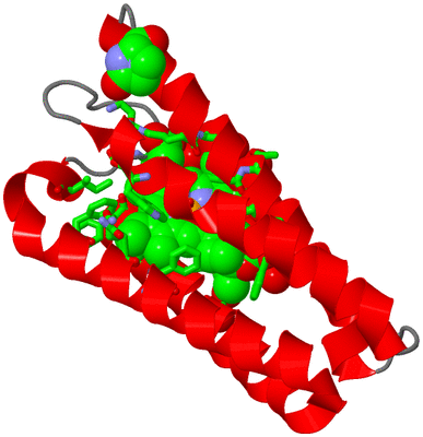 Image Asym. Unit - sites