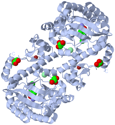 Image Biological Unit 1