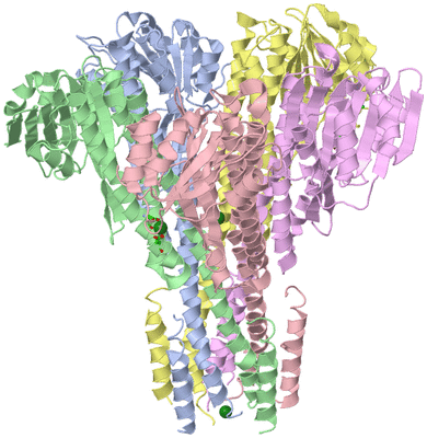 Image Asym./Biol. Unit - sites