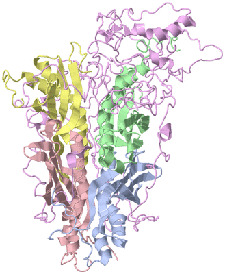 Image NMR Structure - model 1