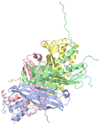 Image NMR Structure - model 1