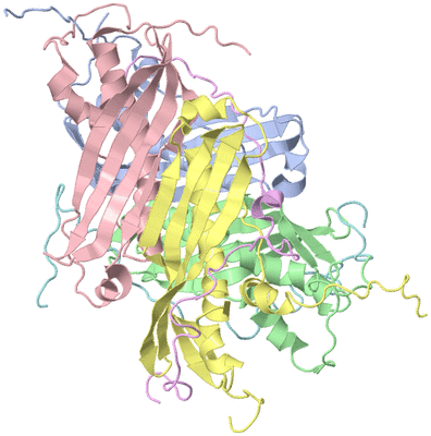 Image NMR Structure - model 1