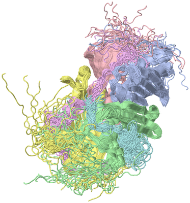 Image NMR Structure - all models