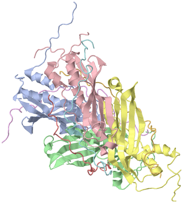 Image NMR Structure - model 1