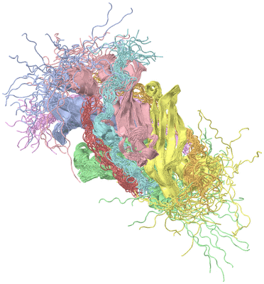 Image NMR Structure - all models