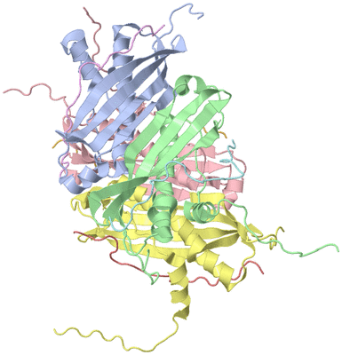 Image NMR Structure - model 1