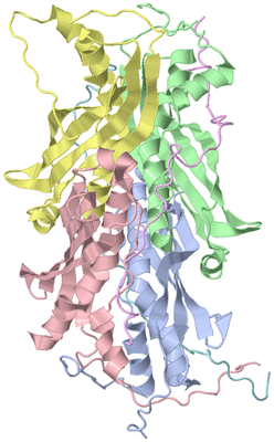 Image NMR Structure - model 1