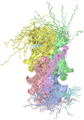 Image NMR Structure - all models