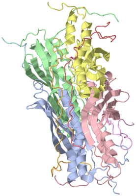 Image NMR Structure - model 1