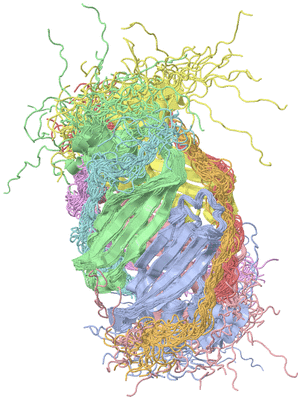 Image NMR Structure - all models