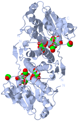 Image Biological Unit 1