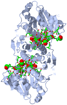 Image Biol. Unit 1 - sites