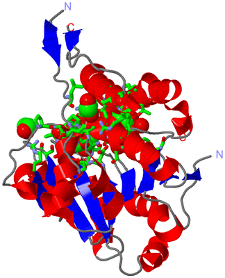 Image Asym. Unit - sites