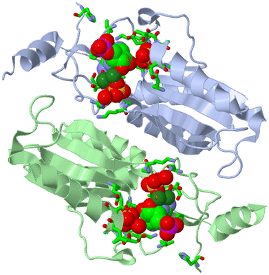 Image Asym./Biol. Unit - sites