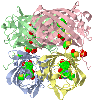 Image Asym./Biol. Unit