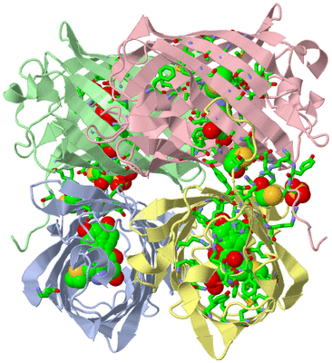 Image Asym./Biol. Unit - sites