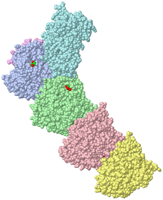 Image Asym./Biol. Unit