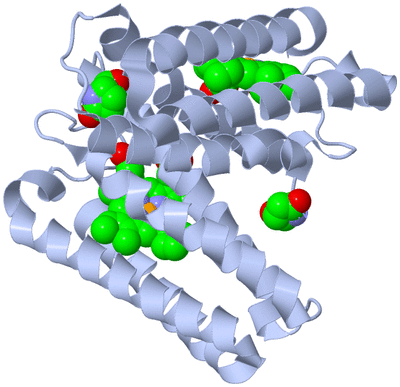 Image Biological Unit 1