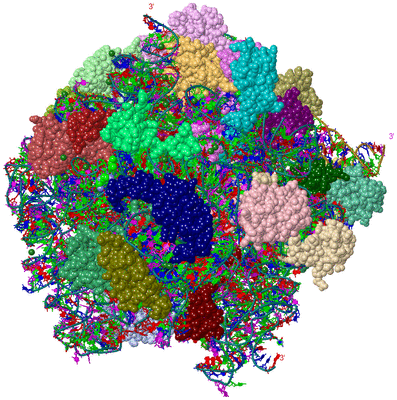 Image Asym./Biol. Unit - sites