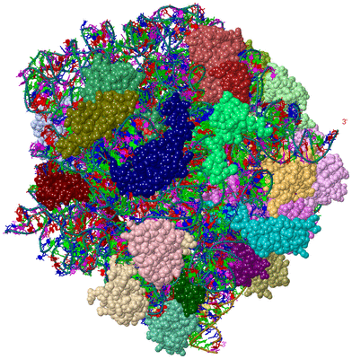 Image Asym./Biol. Unit