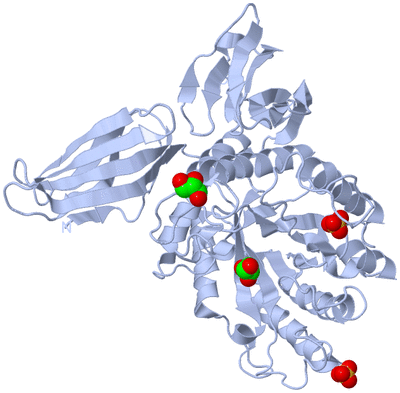 Image Biological Unit 1