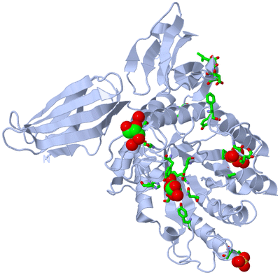 Image Biol. Unit 1 - sites