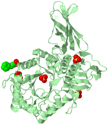 Image Biological Unit 2