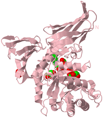 Image Biological Unit 3