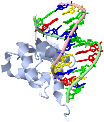 Image Biological Unit 1