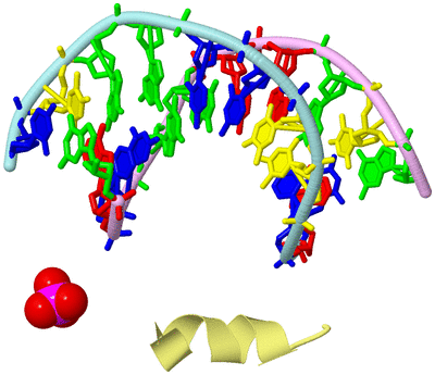 Image Biological Unit 2