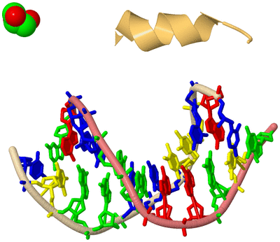 Image Biological Unit 3