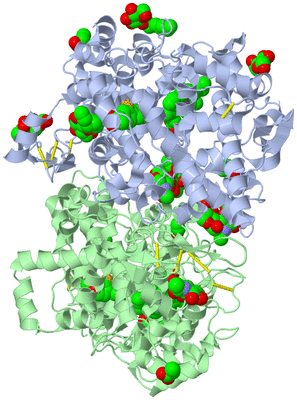 Image Asym./Biol. Unit